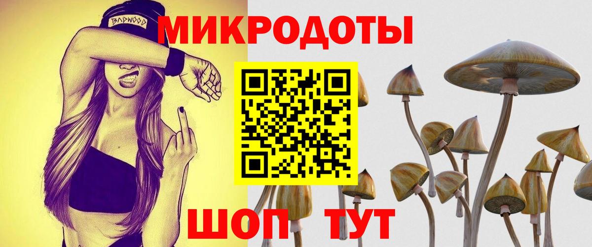 Псилоцибиновые грибы Magic Shrooms Топки